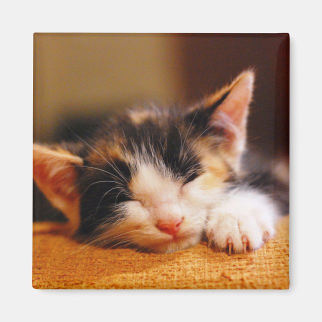 Little Kattunge Sleeping Magnet (Framsidan)