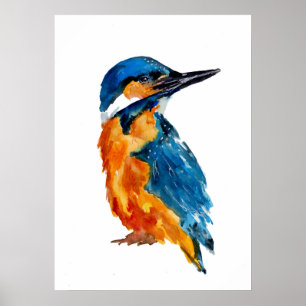 Little Kingfisher Bird Poster