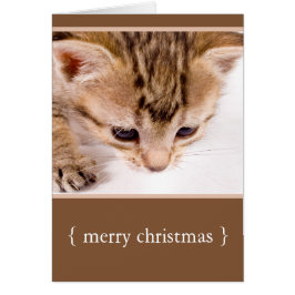 Little Kitten Cat God jul Helgdag Card Hälsningskort
