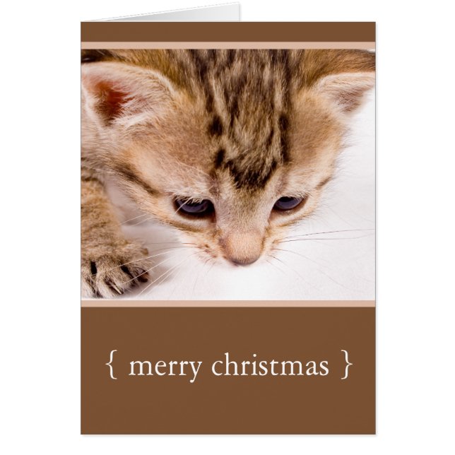 Little Kitten Cat God jul Helgdag Card Hälsningskort (Framsidan)