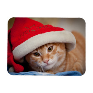 Little Kitten i Red jul Hat Magnet