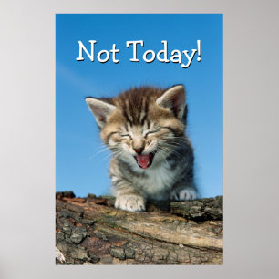 Little Kitten i Träd Poster