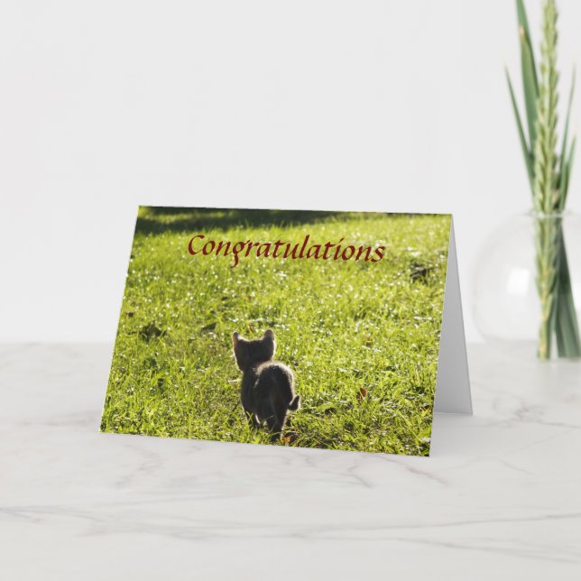 Little Kitten Multi Purpose Card Kort (Framsida)