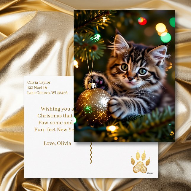 Little Kitten on Christmas Tree Personalized Helg Vykort (Skapare uppladdad)