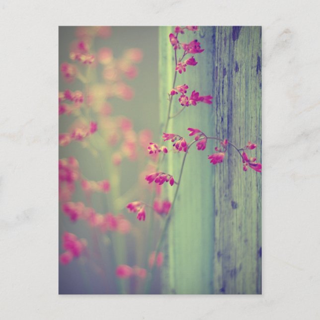 Little Klockor Vykort (Framsida)