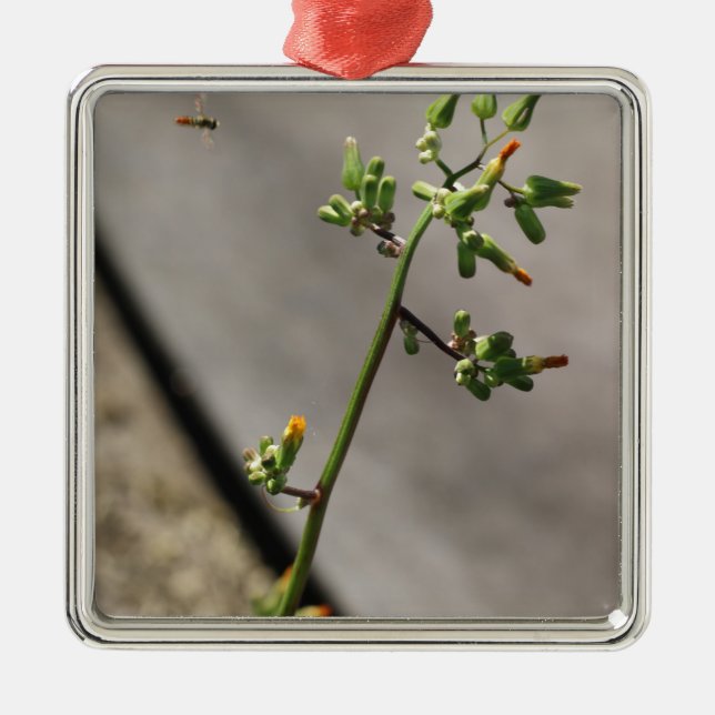 Little Kryp, Little Flower Julgransprydnad Metall (Framsidan)