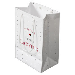 Little Ladybug Baby Shower