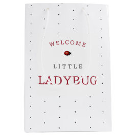 Little Ladybug Baby Shower