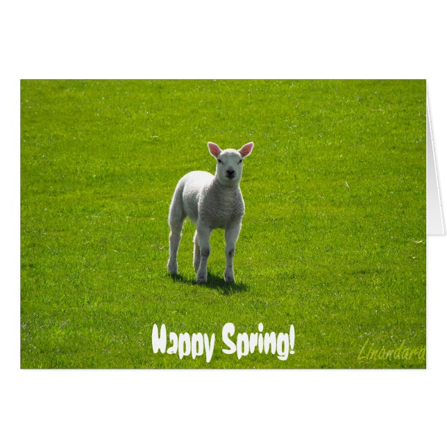 Little Lamb Hälsningskort (Framsidan Horizontal)