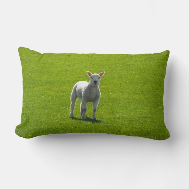 Little Lamb Lumbarkudde (Framsida)