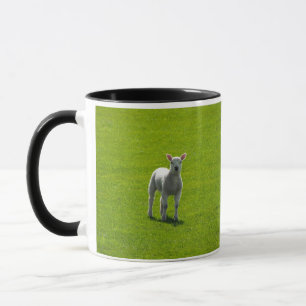 Little Lamb Mugg