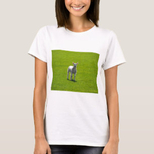 Little Lamb T Shirt