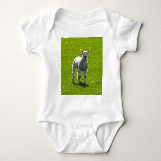 Little Lamb Tee Shirt (Framsida)