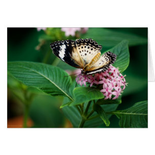 Little Leopard Vingar Card OBS Kort