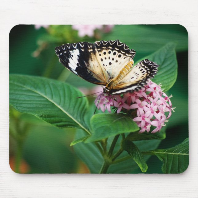 Little Leopard Vingar Mousepad Musmatta (Framsidan)