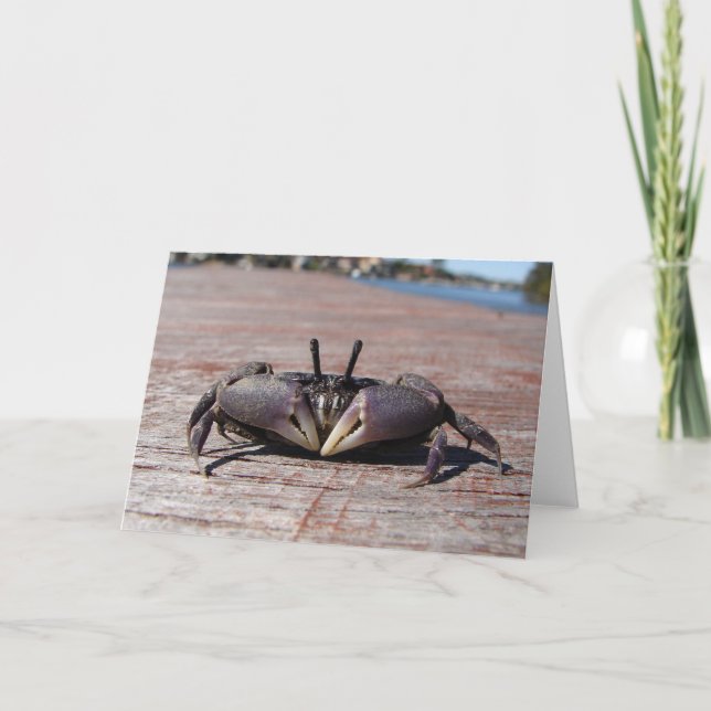 Little Lera Crab Kort (Framsida)