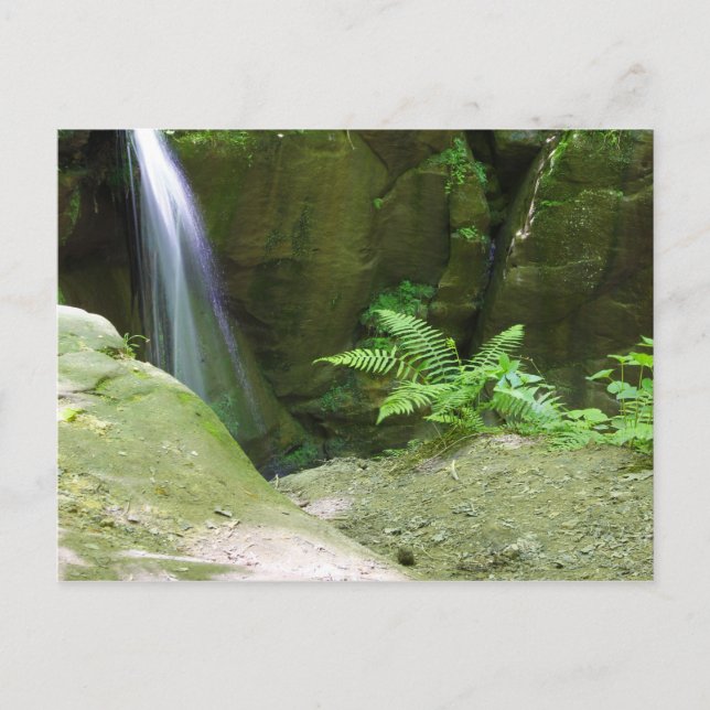 Little Lyons Falls, Mohican State Park, Ohio Vykort (Framsida)