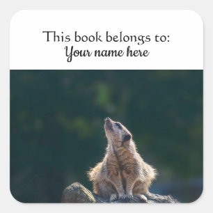 Little Meerkat "this bok tillhör to"-dekal Fyrkantigt Klistermärke
