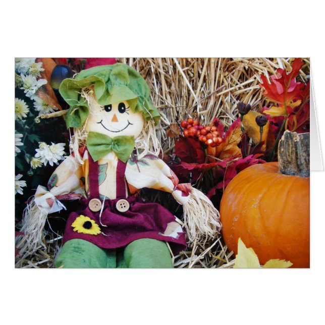 Little Miss Fågelskrämma Hälsningskort (Framsidan Horizontal)