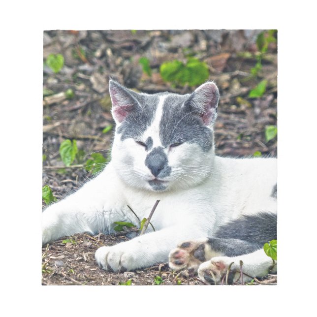 Little Mister Byxor Anteckningsblock (Framsida)