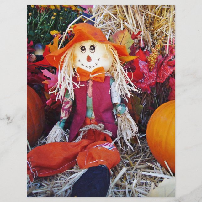 Little Mister Fågelskrämma (Framsida)