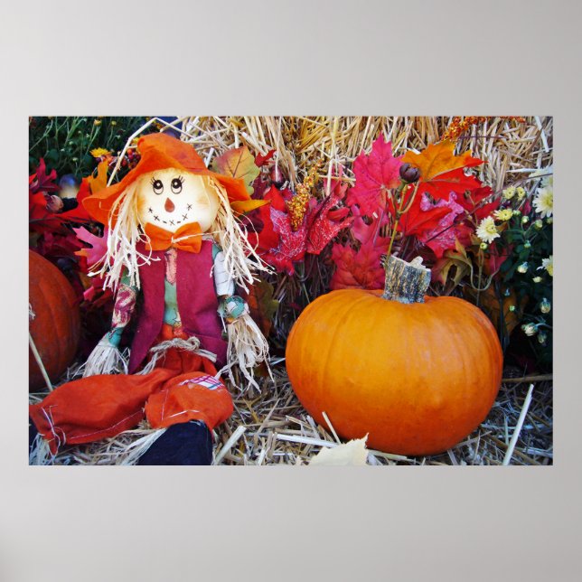 Little Mister Fågelskrämma Poster (Framsidan)