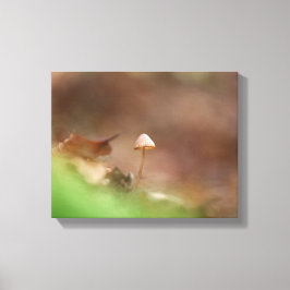 Little Mushroom Nature Photo Canvastryck