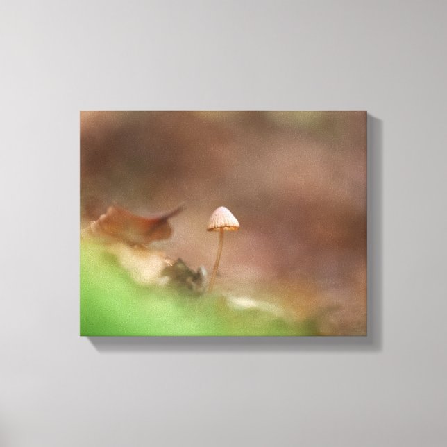 Little Mushroom Nature Photo Canvastryck (Framsida)