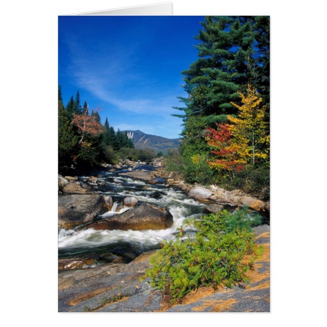 Little Niagra Falls, Appalachian Trail, Maine Hälsningskort (Framsidan)