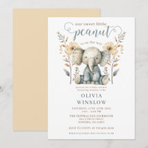 Little Peanut Baby Elephant Peach Blue Shower