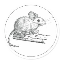 Little Pencil Mouse