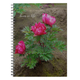 Little Peony Bush Anteckningsbok