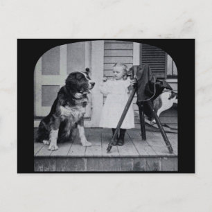 Little Photographer and Her St. Bernard Vintage Vykort