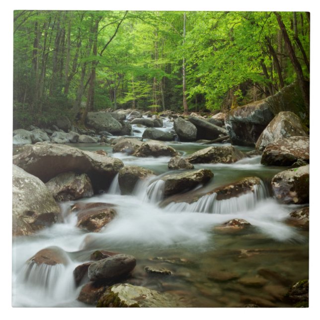 Little Pigeon River på Greenbrier Kakelplatta (Framsidan)