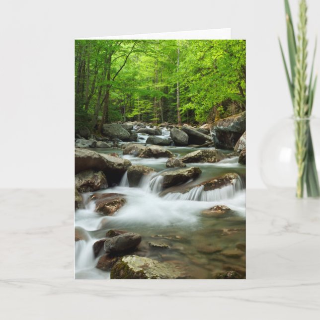 Little Pigeon River på Greenbrier Kort (Framsida)