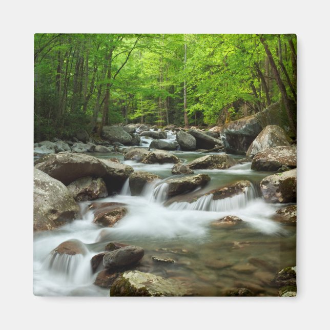 Little Pigeon River på Greenbrier Magnet (Framsidan)