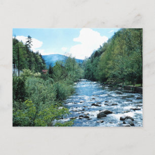 Little Pigeon River Postcard (historiskt vykort) Vykort