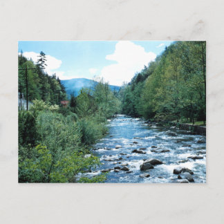 Little Pigeon River Postcard (historiskt vykort) Vykort