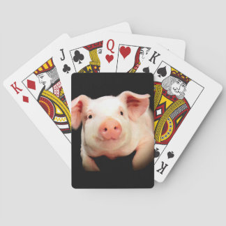Little Piggy Kortlek