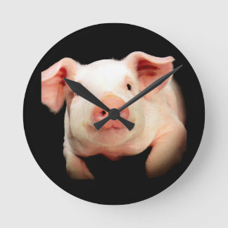 Little Piggy Rund Klocka