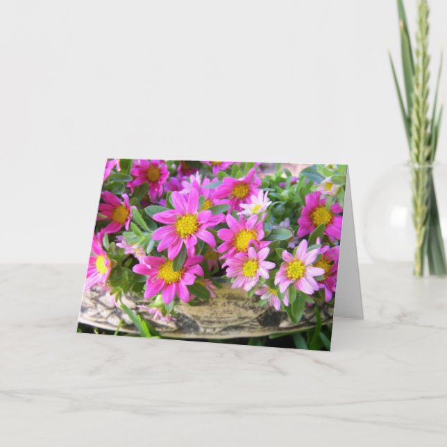 Little Pinks Kort (Framsida)