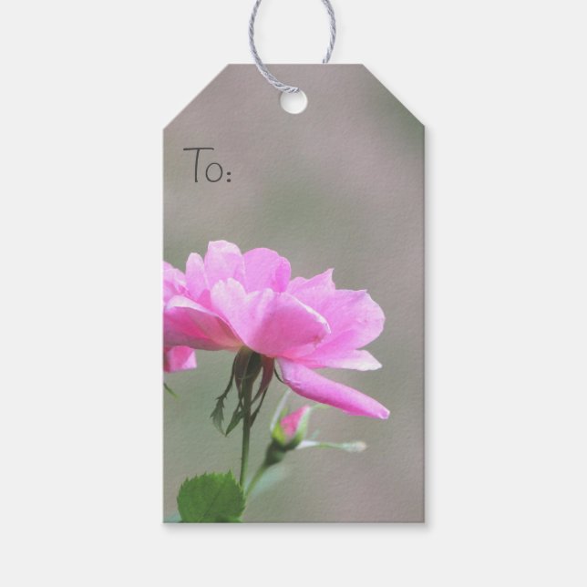 Little Plocka Ro Märkre Presentetikett (Framsidan)