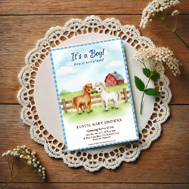 Little Pony Baby Boy Shower Gingham Invitation Vykort