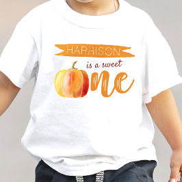 Little Pumpkin Fall 1st Birthday T Shirt