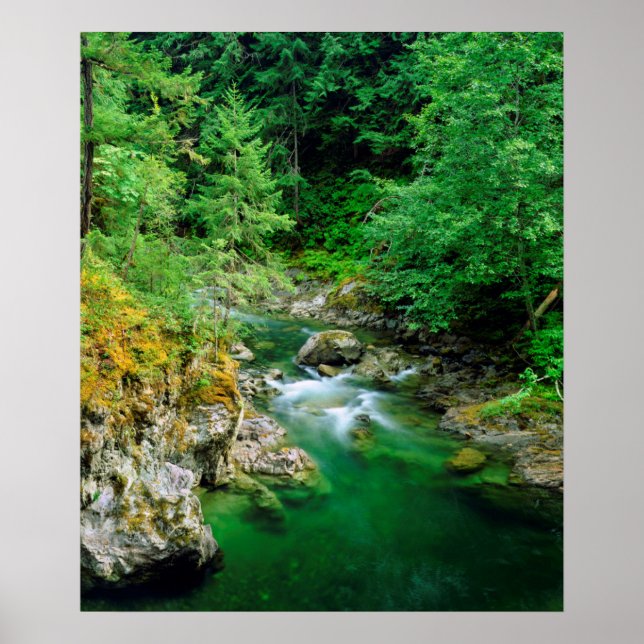 Little Qualicum River Poster (Framsidan)