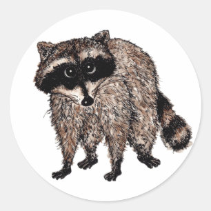 Little Raccoon Runt Klistermärke