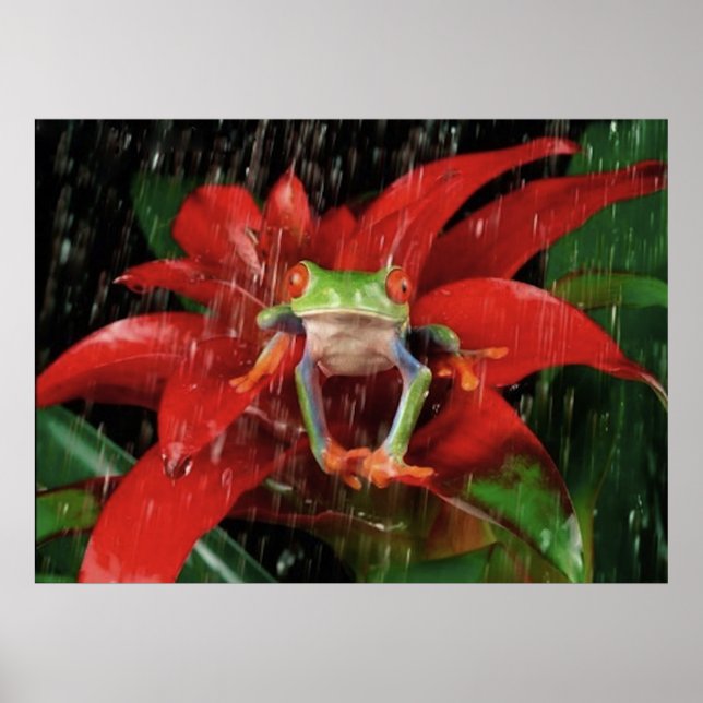 Little_Rain_(4) Poster (Framsidan)