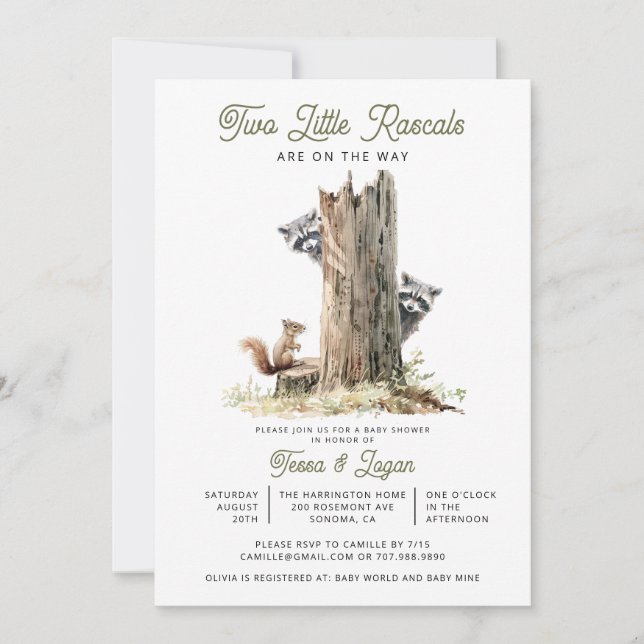 Little Rascals Raccoons Twillingars Baby Shower Inbjudningar (Framsida)