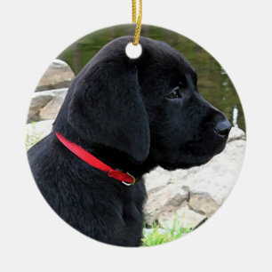 Little Red Collar - Svart lab Puppy - Labrador Julgransprydnad Keramik