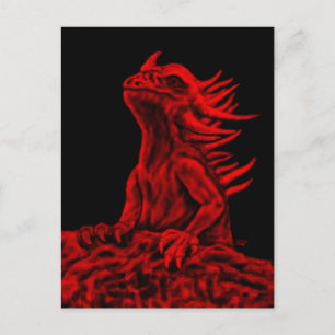Little Red Dragon Vykort